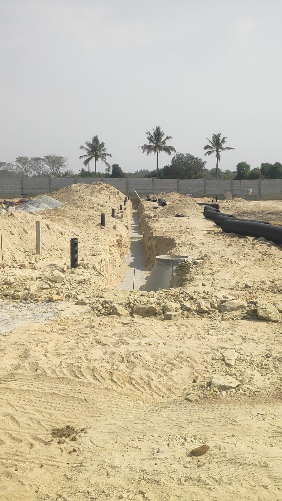 Raintree site photograph 1