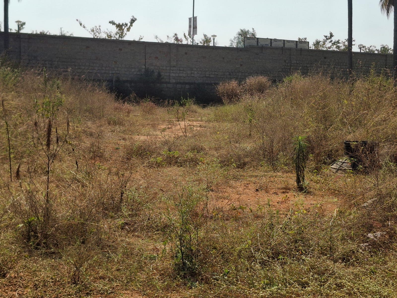 Ekta Elements site photograph 1
